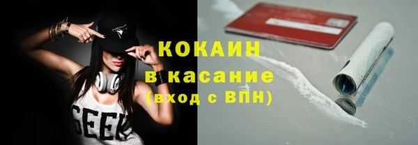 ешки Алексин