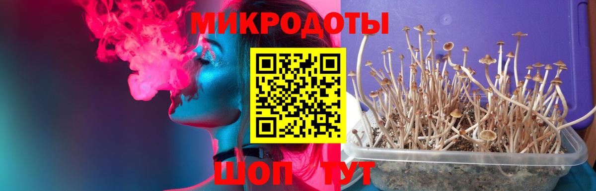 купить наркотики сайты  Вход с VPN  Петровск  Галлюциногенные грибы ЛСД 